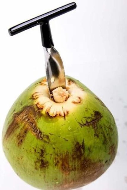 coconut-opener-ocasbd