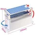 Heavy Duty AC 110V 10000 Mg/H (10g) Ozone Generator With Blue Plates Treatment