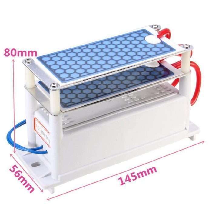 Heavy Duty AC 110V 10000 Mg/H (10g) Ozone Generator With Blue Plates Treatment